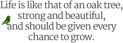 Life is like that of an oak tree, strong and beautiful, and should be given every chance to grow.